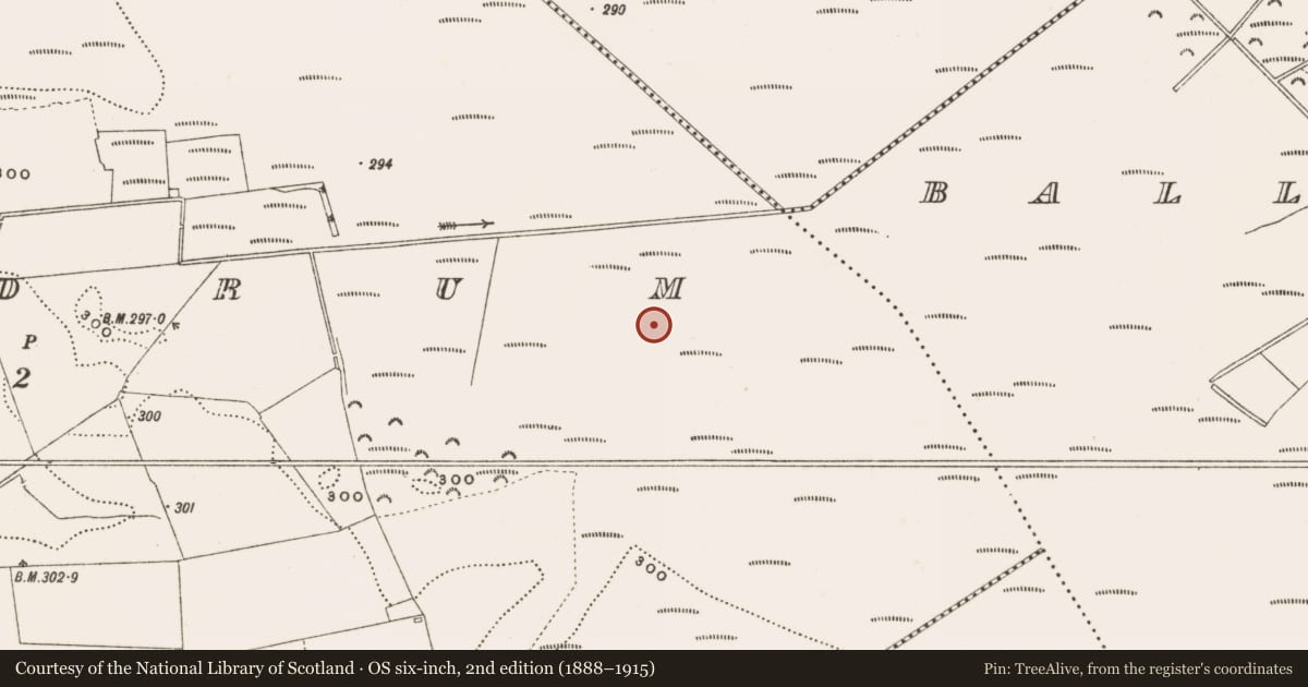 Ordnance Survey six-inch map, 2nd edition (1888–1915) covering the location of Structure - peatland, Rathdrum, County Offaly, with a pin at the register's coordinates