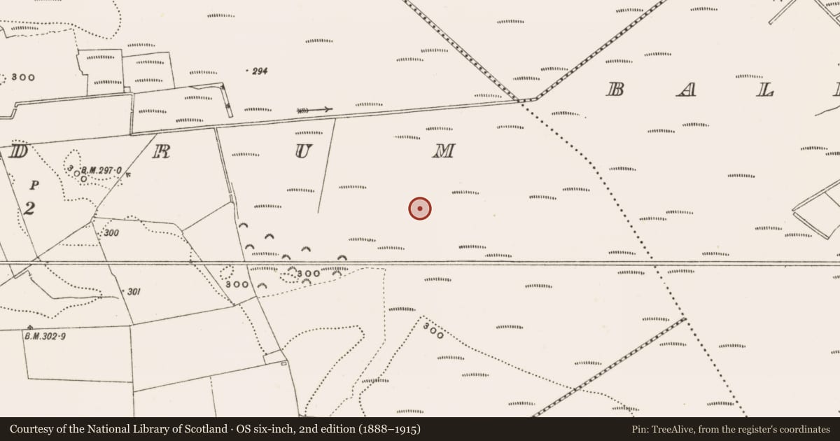 Ordnance Survey six-inch map, 2nd edition (1888–1915) covering the location of Structure - peatland, Rathdrum, County Offaly, with a pin at the register's coordinates
