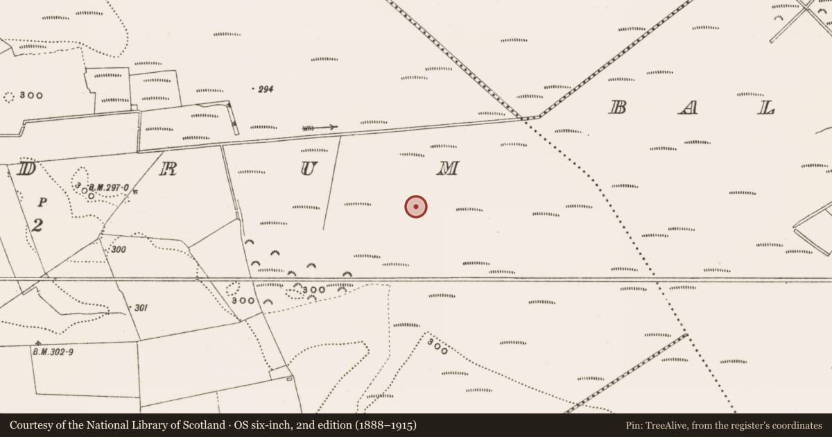 Ordnance Survey six-inch map, 2nd edition (1888–1915) covering the location of Structure - peatland, Rathdrum, County Offaly, with a pin at the register's coordinates