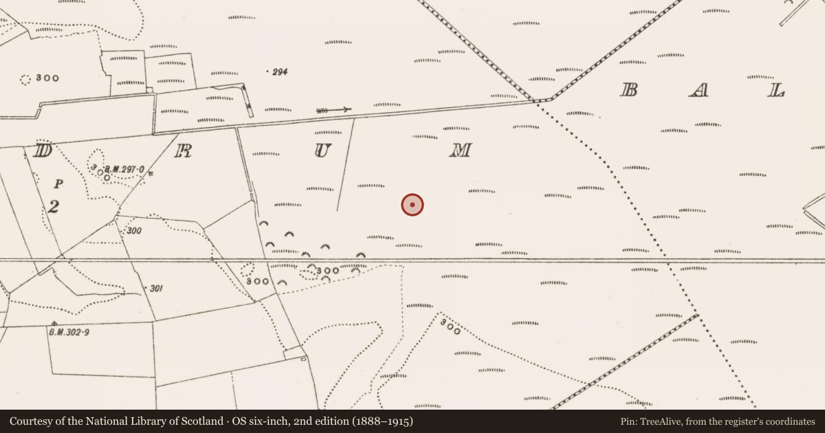 Ordnance Survey six-inch map, 2nd edition (1888–1915) covering the location of Structure - peatland, Rathdrum, County Offaly, with a pin at the register's coordinates