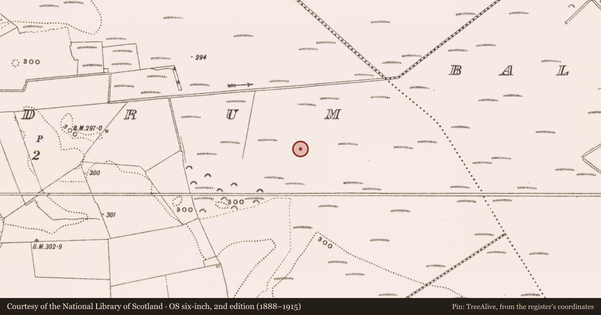 Ordnance Survey six-inch map, 2nd edition (1888–1915) covering the location of Road - class 3 togher, Rathdrum, County Offaly, with a pin at the register's coordinates