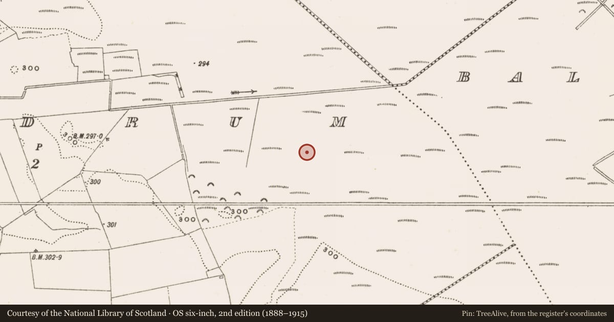 Ordnance Survey six-inch map, 2nd edition (1888–1915) covering the location of Structure - peatland, Rathdrum, County Offaly, with a pin at the register's coordinates