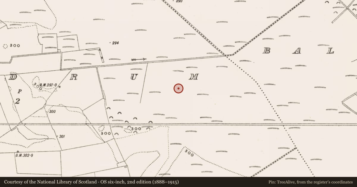 Ordnance Survey six-inch map, 2nd edition (1888–1915) covering the location of Structure - peatland, Rathdrum, County Offaly, with a pin at the register's coordinates