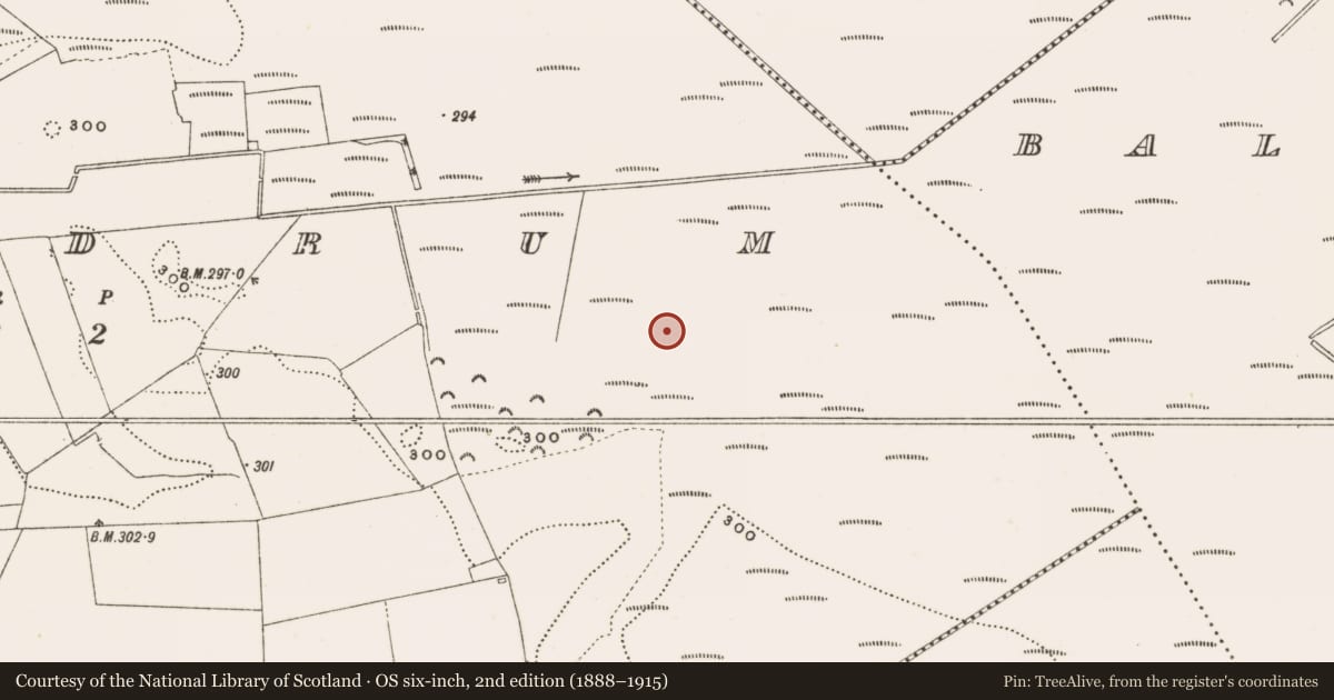Ordnance Survey six-inch map, 2nd edition (1888–1915) covering the location of Structure - peatland, Rathdrum, County Offaly, with a pin at the register's coordinates