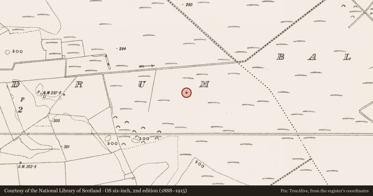 Ordnance Survey six-inch map, 2nd edition (1888–1915) covering the location of Structure - peatland, Rathdrum, County Offaly, with a pin at the register's coordinates
