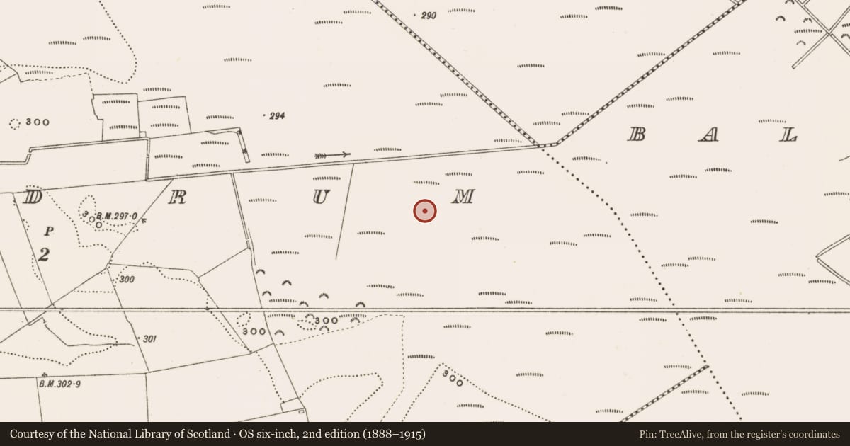 Ordnance Survey six-inch map, 2nd edition (1888–1915) covering the location of Structure - peatland, Rathdrum, County Offaly, with a pin at the register's coordinates