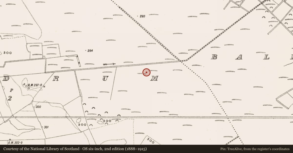 Ordnance Survey six-inch map, 2nd edition (1888–1915) covering the location of Structure - peatland, Rathdrum, County Offaly, with a pin at the register's coordinates