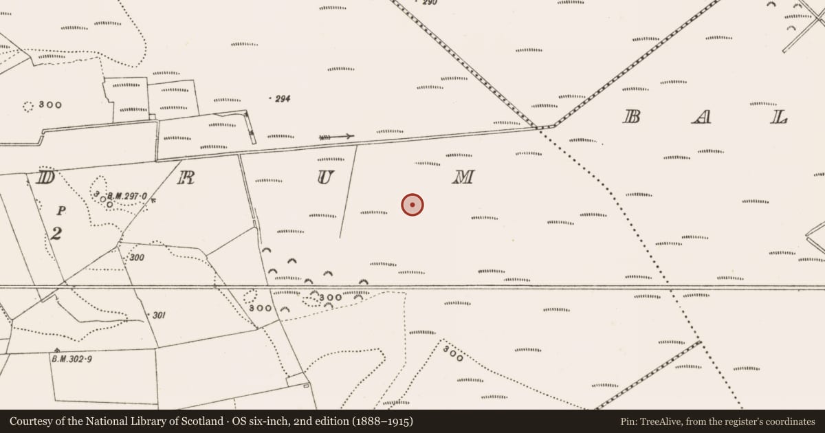 Ordnance Survey six-inch map, 2nd edition (1888–1915) covering the location of Structure - peatland, Rathdrum, County Offaly, with a pin at the register's coordinates