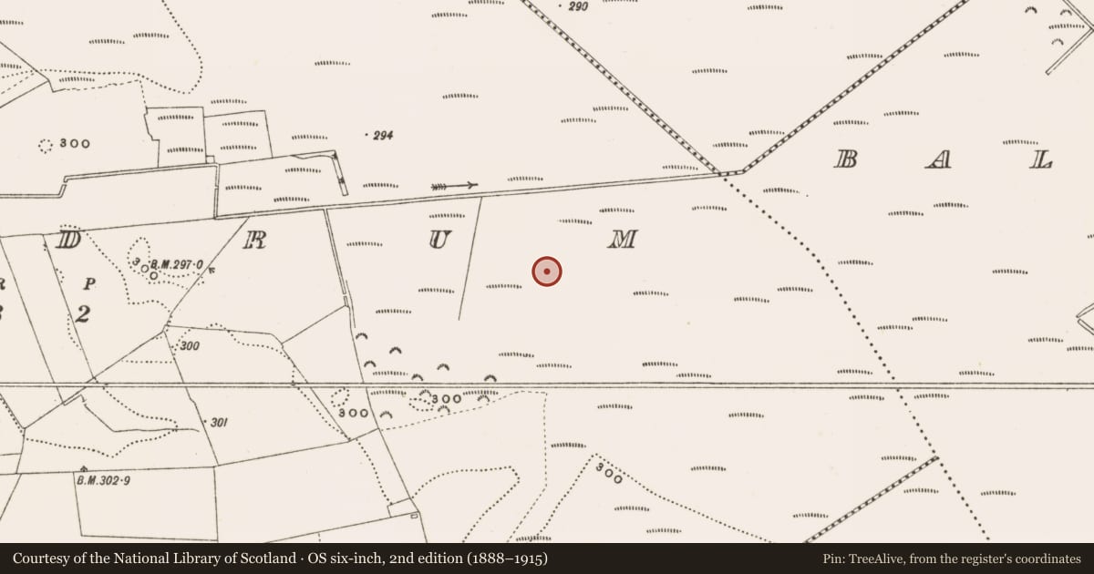 Ordnance Survey six-inch map, 2nd edition (1888–1915) covering the location of Structure - peatland, Rathdrum, County Offaly, with a pin at the register's coordinates