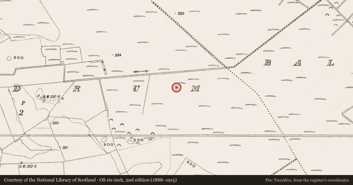 Ordnance Survey six-inch map, 2nd edition (1888–1915) covering the location of Structure - peatland, Rathdrum, County Offaly, with a pin at the register's coordinates
