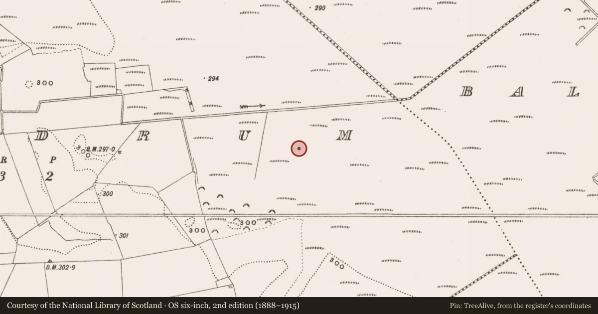 Ordnance Survey six-inch map, 2nd edition (1888–1915) covering the location of Road - class 3 togher, Rathdrum, County Offaly, with a pin at the register's coordinates