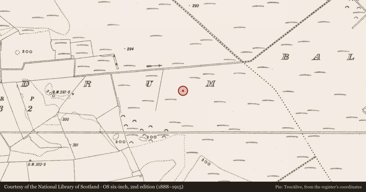 Ordnance Survey six-inch map, 2nd edition (1888–1915) covering the location of Structure - peatland, Rathdrum, County Offaly, with a pin at the register's coordinates
