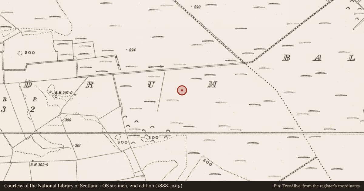 Ordnance Survey six-inch map, 2nd edition (1888–1915) covering the location of Structure - peatland, Rathdrum, County Offaly, with a pin at the register's coordinates