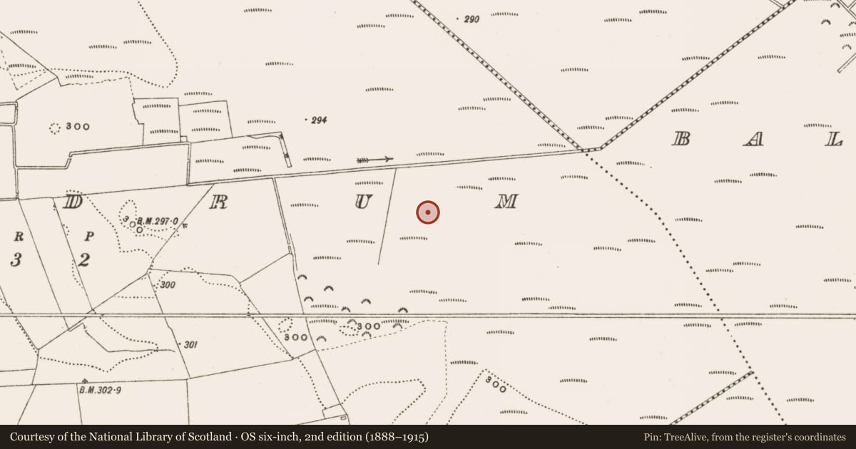 Ordnance Survey six-inch map, 2nd edition (1888–1915) covering the location of Structure - peatland, Rathdrum, County Offaly, with a pin at the register's coordinates