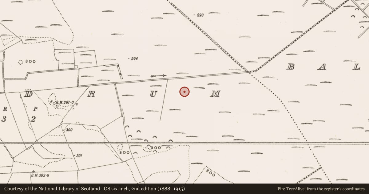 Ordnance Survey six-inch map, 2nd edition (1888–1915) covering the location of Structure - peatland, Rathdrum, County Offaly, with a pin at the register's coordinates