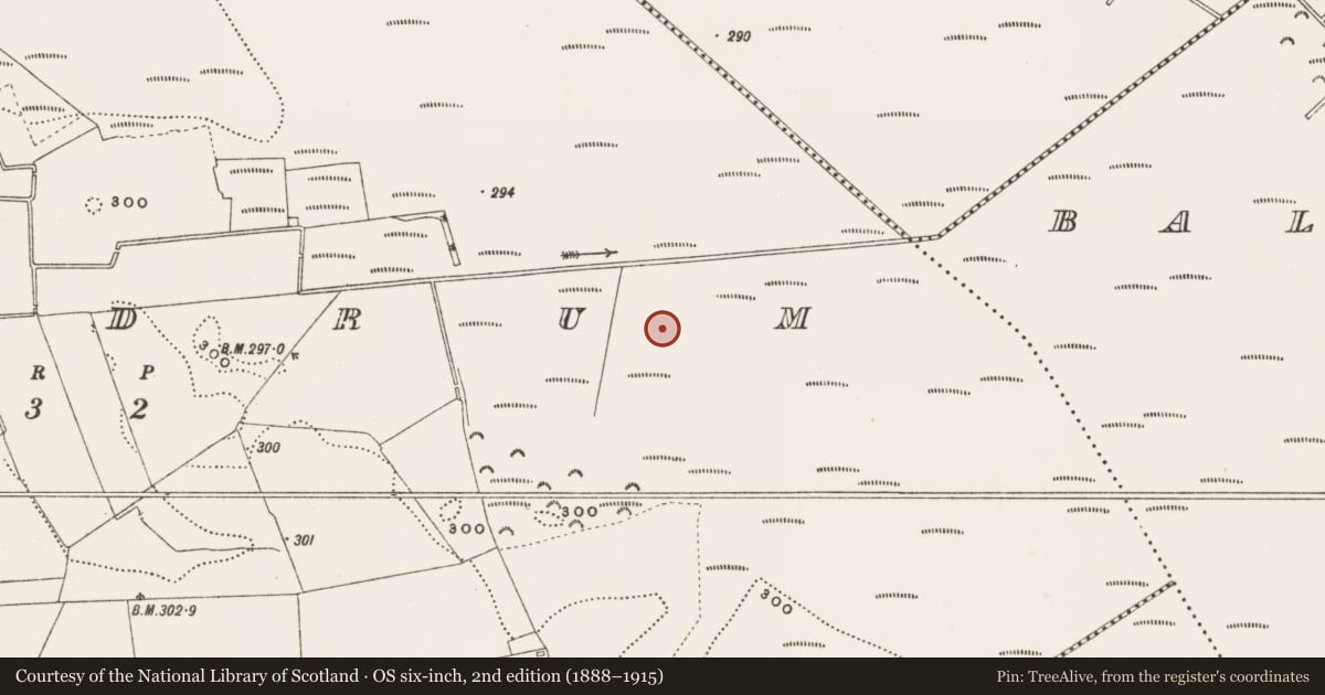 Ordnance Survey six-inch map, 2nd edition (1888–1915) covering the location of Structure - peatland, Rathdrum, County Offaly, with a pin at the register's coordinates