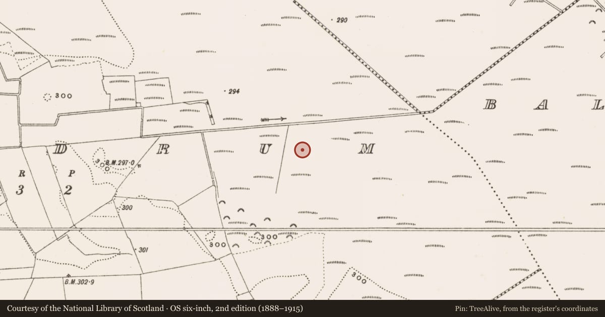 Ordnance Survey six-inch map, 2nd edition (1888–1915) covering the location of Structure - peatland, Rathdrum, County Offaly, with a pin at the register's coordinates