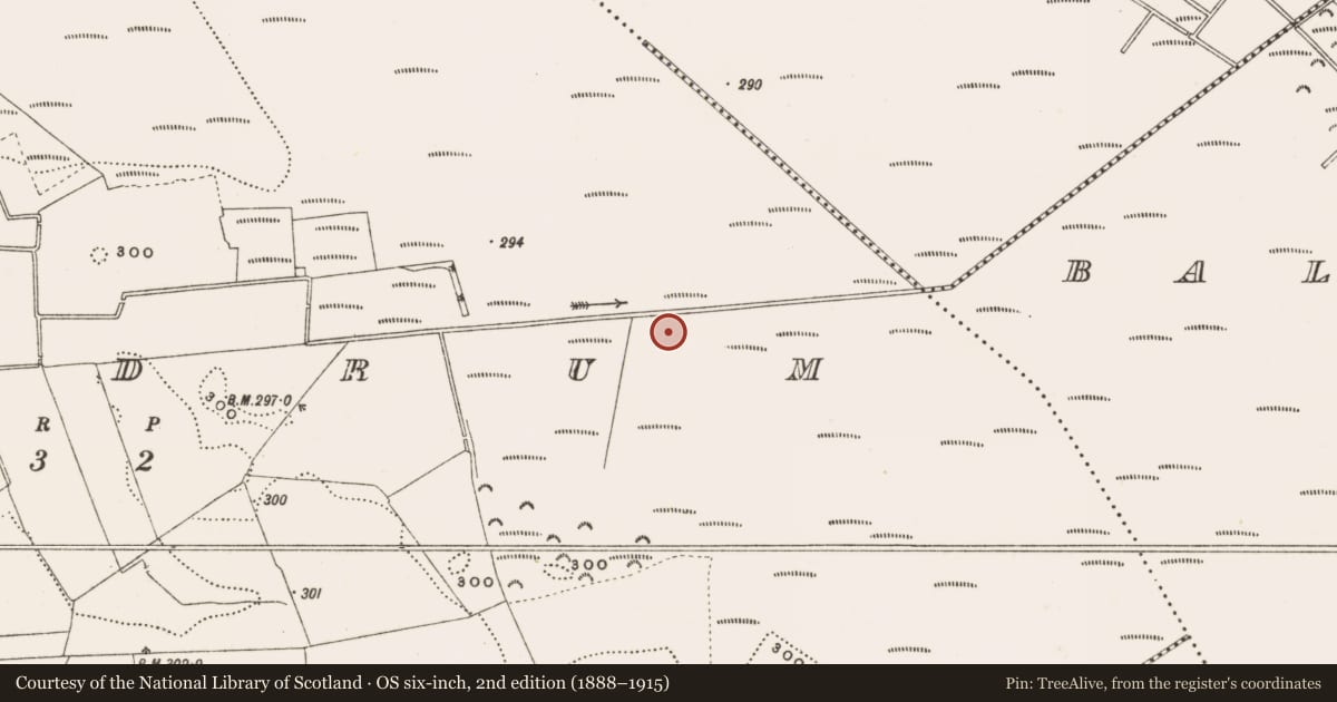 Ordnance Survey six-inch map, 2nd edition (1888–1915) covering the location of Structure - peatland, Rathdrum, County Offaly, with a pin at the register's coordinates
