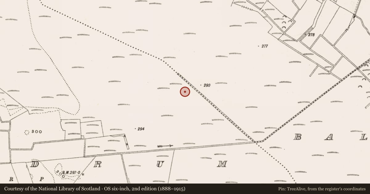 Ordnance Survey six-inch map, 2nd edition (1888–1915) covering the location of Structure - peatland, Rathdrum, County Offaly, with a pin at the register's coordinates