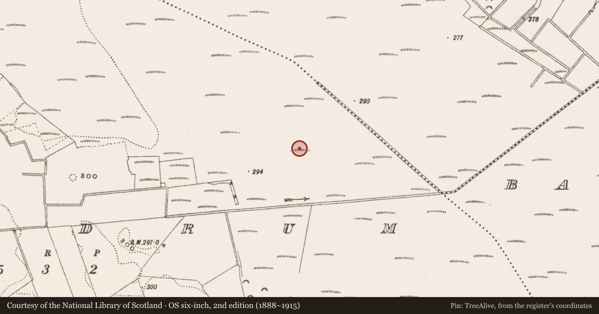 Ordnance Survey six-inch map, 2nd edition (1888–1915) covering the location of Structure - peatland, Rathdrum, County Offaly, with a pin at the register's coordinates
