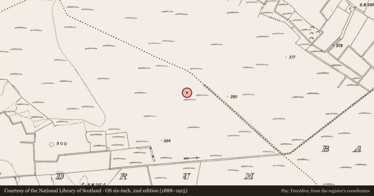 Ordnance Survey six-inch map, 2nd edition (1888–1915) covering the location of Structure - peatland, Rathdrum, County Offaly, with a pin at the register's coordinates