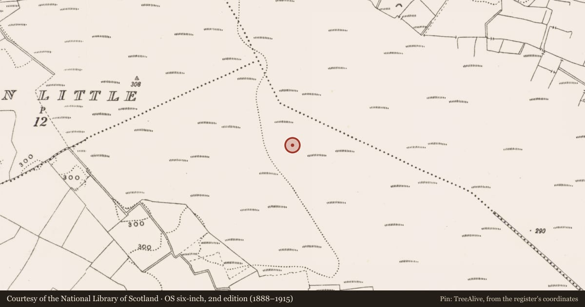 Ordnance Survey six-inch map, 2nd edition (1888–1915) covering the location of Structure - peatland, Rathdrum, County Offaly, with a pin at the register's coordinates