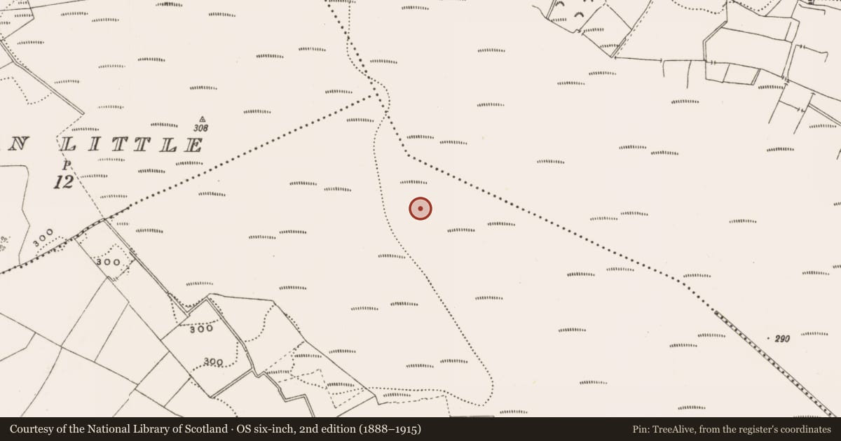 Ordnance Survey six-inch map, 2nd edition (1888–1915) covering the location of Structure - peatland, Rathdrum, County Offaly, with a pin at the register's coordinates