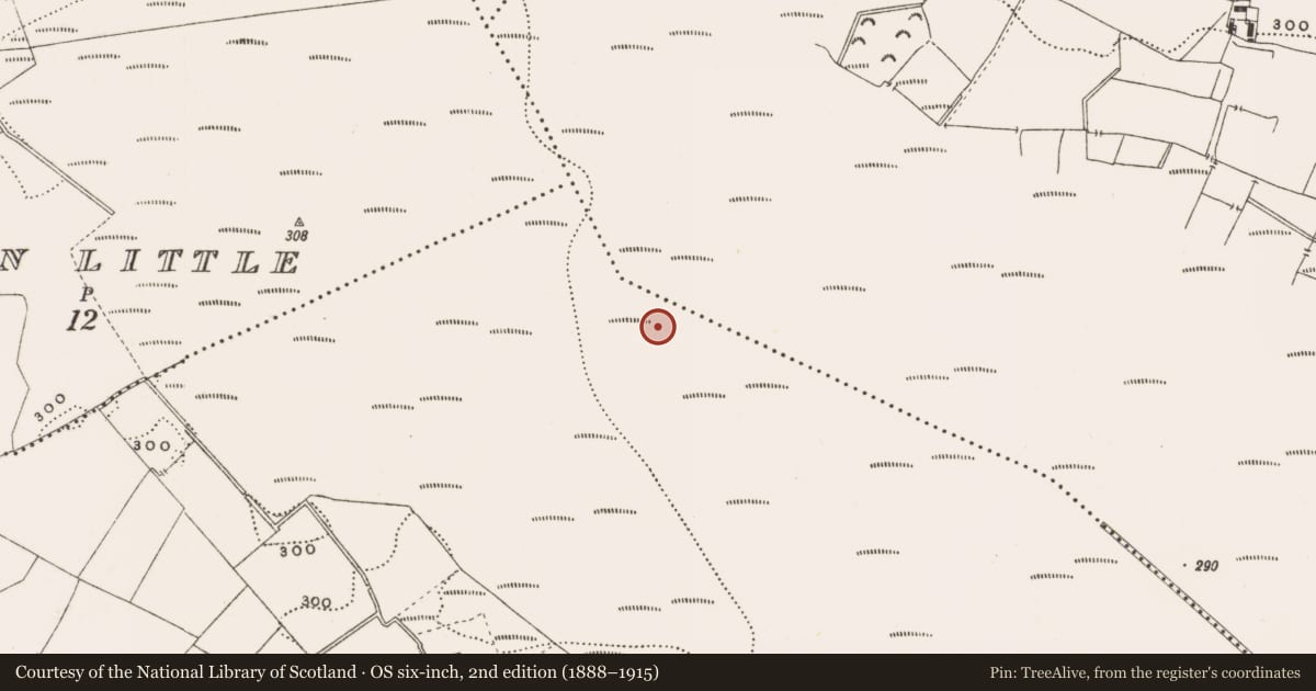 Ordnance Survey six-inch map, 2nd edition (1888–1915) covering the location of Structure - peatland, Rathdrum, County Offaly, with a pin at the register's coordinates