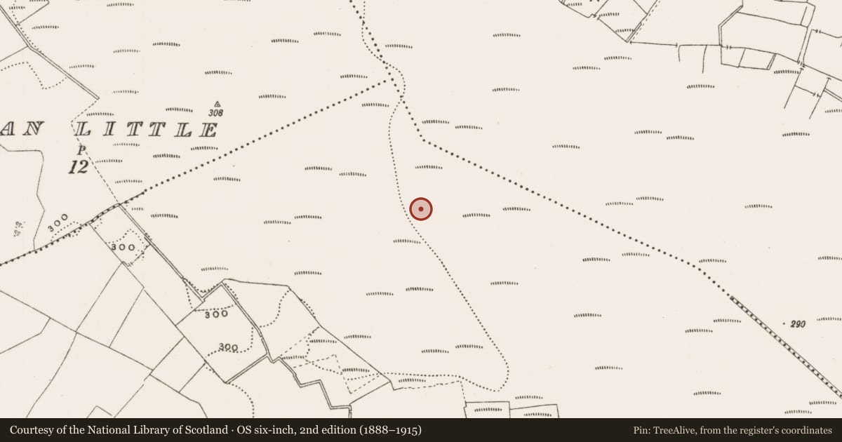 Ordnance Survey six-inch map, 2nd edition (1888–1915) covering the location of Structure - peatland, Rathdrum, County Offaly, with a pin at the register's coordinates