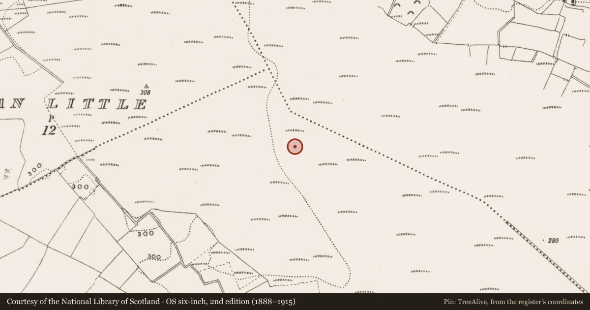 Ordnance Survey six-inch map, 2nd edition (1888–1915) covering the location of Structure - peatland, Rathdrum, County Offaly, with a pin at the register's coordinates
