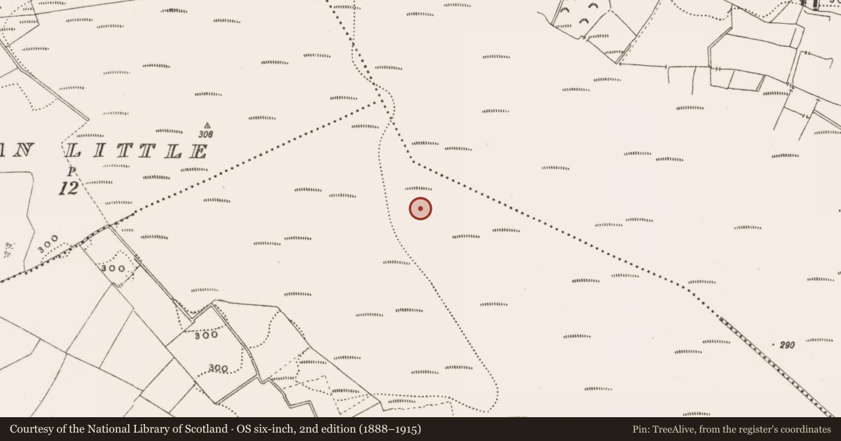 Ordnance Survey six-inch map, 2nd edition (1888–1915) covering the location of Structure - peatland, Rathdrum, County Offaly, with a pin at the register's coordinates