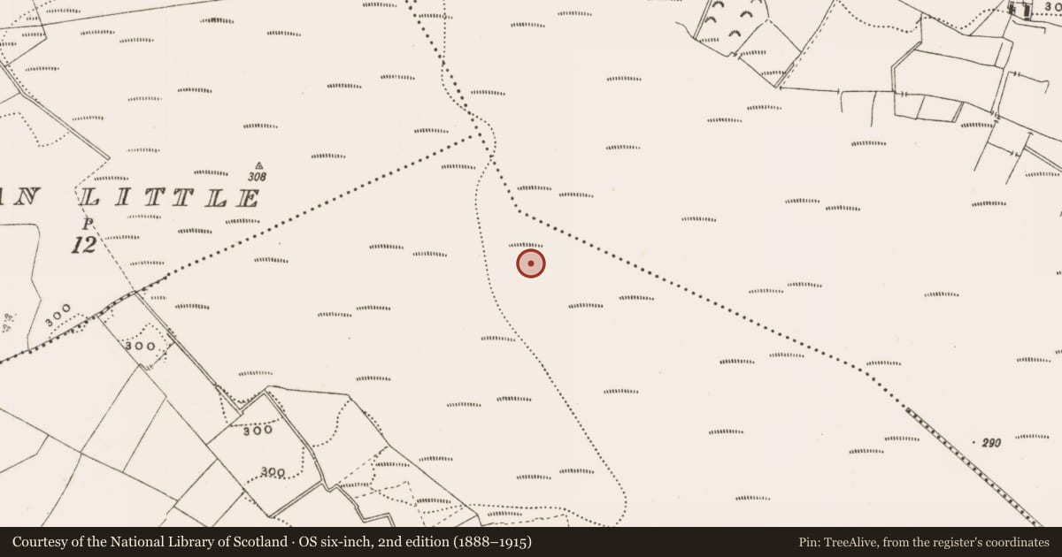 Ordnance Survey six-inch map, 2nd edition (1888–1915) covering the location of Structure - peatland, Rathdrum, County Offaly, with a pin at the register's coordinates