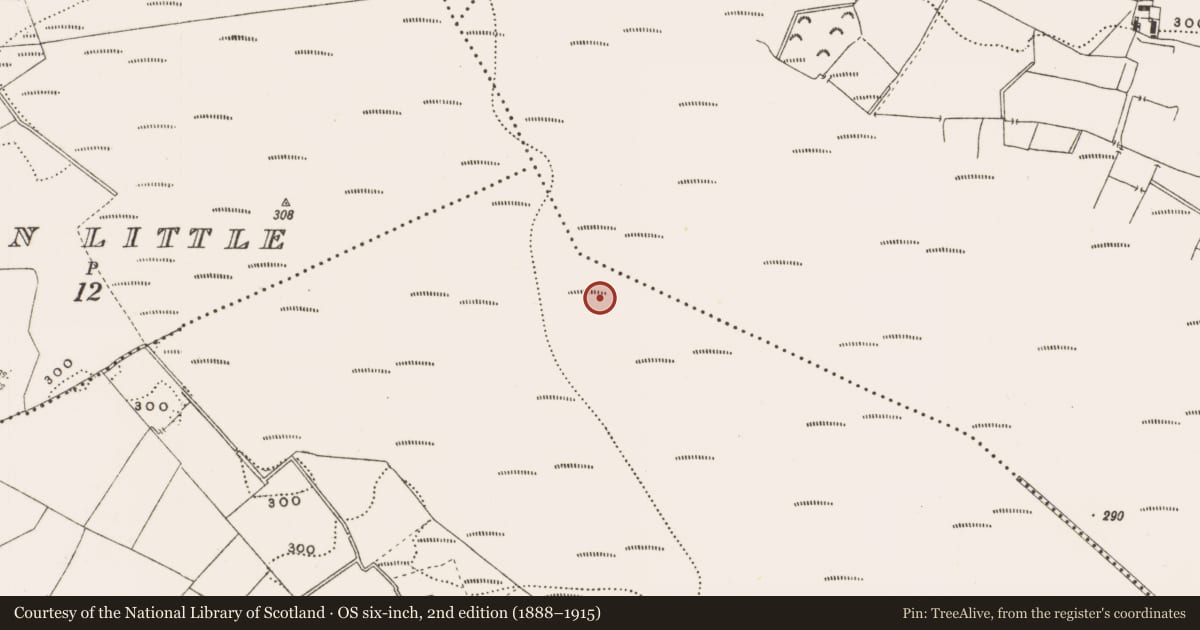 Ordnance Survey six-inch map, 2nd edition (1888–1915) covering the location of Structure - peatland, Rathdrum, County Offaly, with a pin at the register's coordinates
