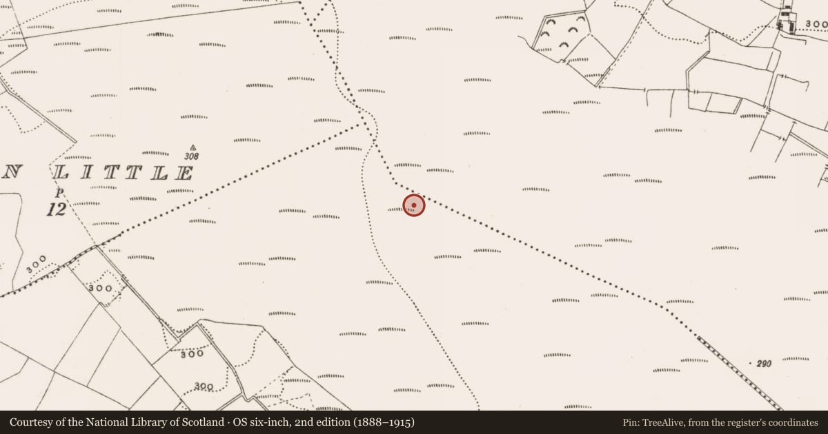 Ordnance Survey six-inch map, 2nd edition (1888–1915) covering the location of Structure - peatland, Rathdrum, County Offaly, with a pin at the register's coordinates