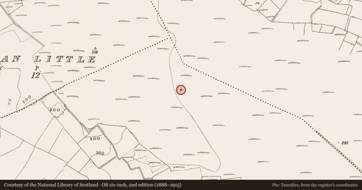 Ordnance Survey six-inch map, 2nd edition (1888–1915) covering the location of Structure - peatland, Rathdrum, County Offaly, with a pin at the register's coordinates