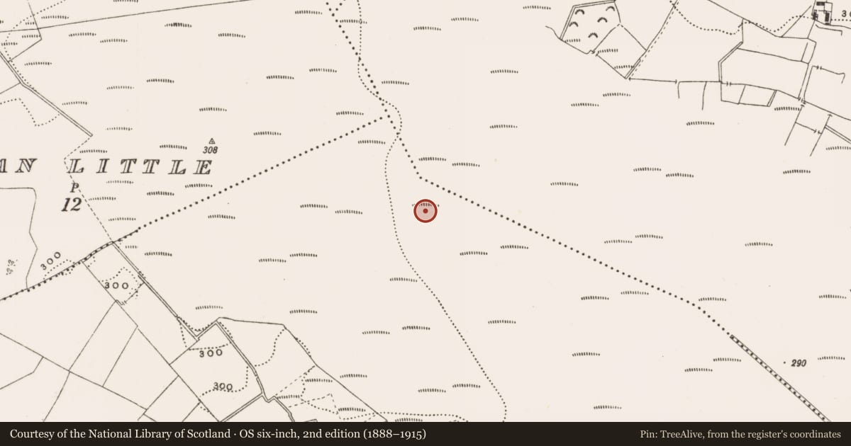 Ordnance Survey six-inch map, 2nd edition (1888–1915) covering the location of Structure - peatland, Rathdrum, County Offaly, with a pin at the register's coordinates