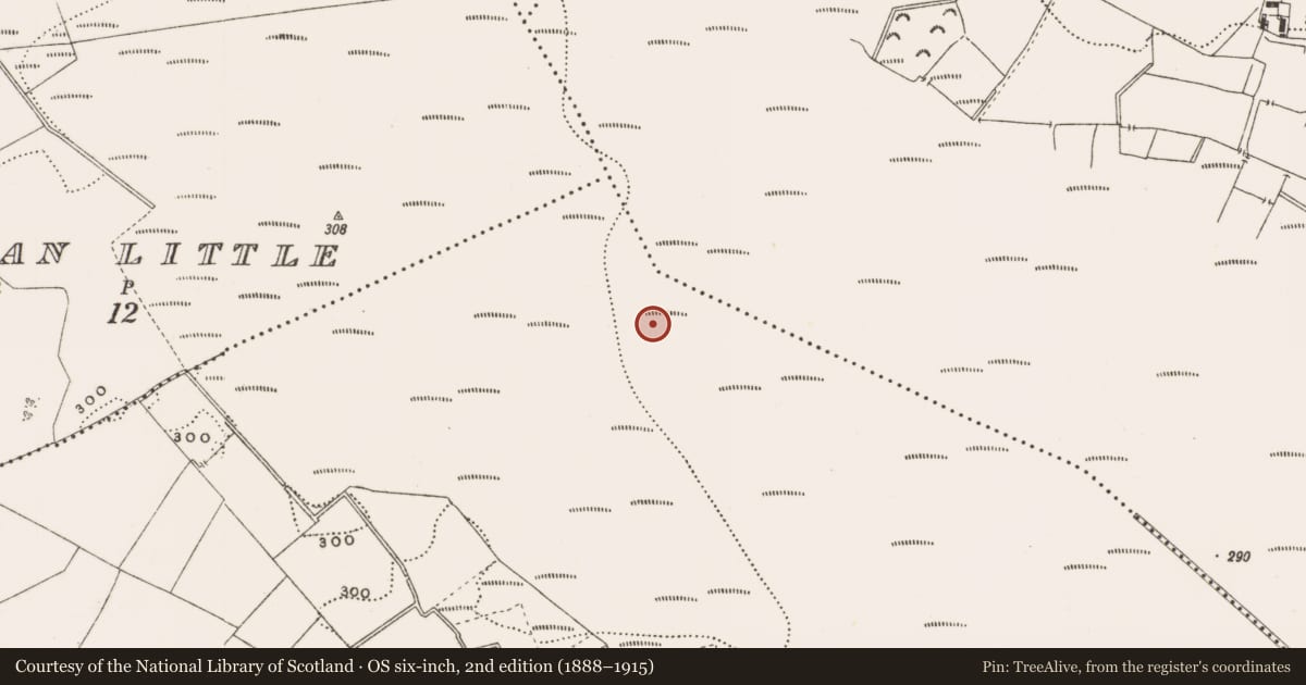 Ordnance Survey six-inch map, 2nd edition (1888–1915) covering the location of Structure - peatland, Rathdrum, County Offaly, with a pin at the register's coordinates