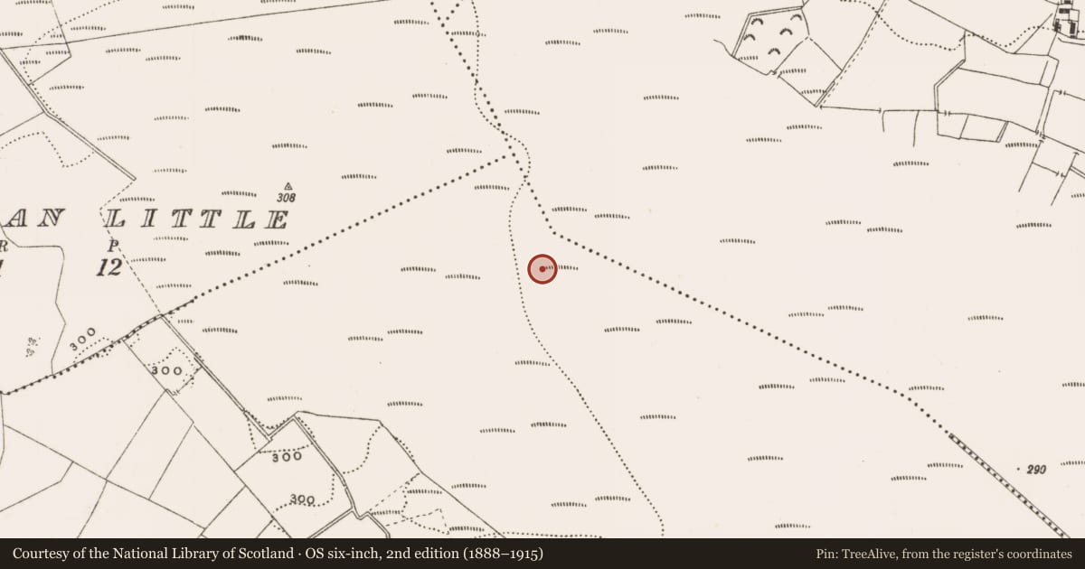 Ordnance Survey six-inch map, 2nd edition (1888–1915) covering the location of Structure - peatland, Rathdrum, County Offaly, with a pin at the register's coordinates