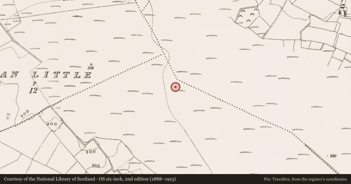 Ordnance Survey six-inch map, 2nd edition (1888–1915) covering the location of Structure - peatland, Rathdrum, County Offaly, with a pin at the register's coordinates