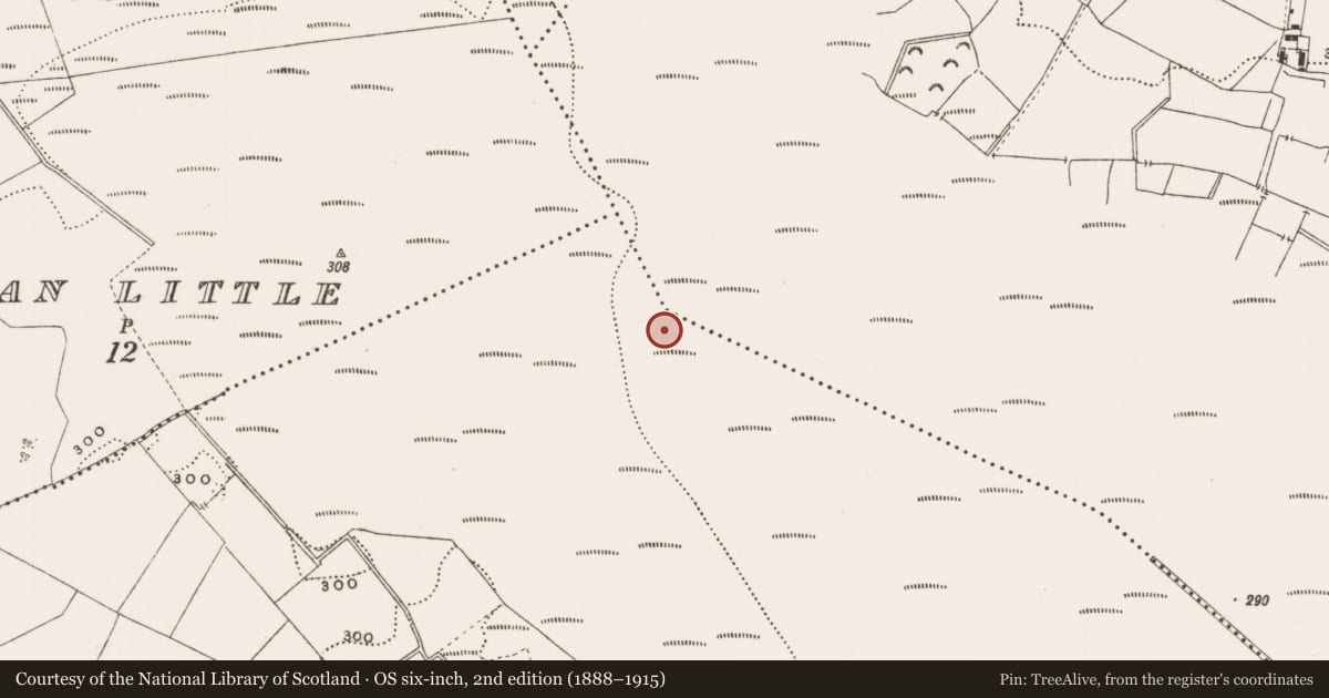 Ordnance Survey six-inch map, 2nd edition (1888–1915) covering the location of Structure - peatland, Rathdrum, County Offaly, with a pin at the register's coordinates