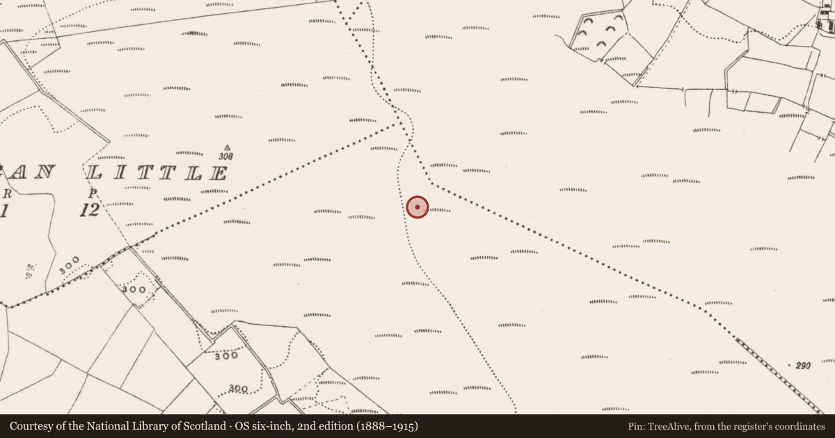Ordnance Survey six-inch map, 2nd edition (1888–1915) covering the location of Structure - peatland, Rathdrum, County Offaly, with a pin at the register's coordinates
