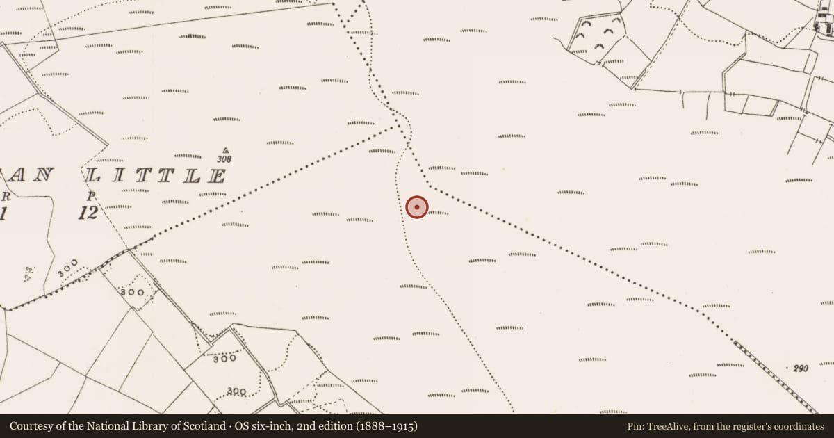 Ordnance Survey six-inch map, 2nd edition (1888–1915) covering the location of Structure - peatland, Rathdrum, County Offaly, with a pin at the register's coordinates