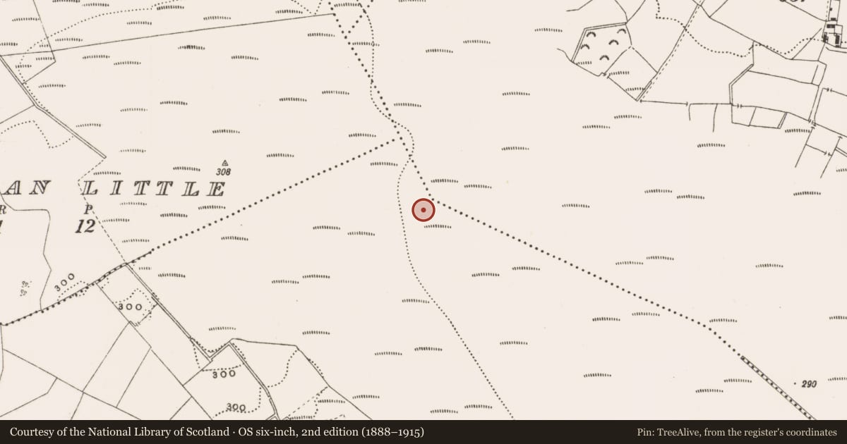 Ordnance Survey six-inch map, 2nd edition (1888–1915) covering the location of Structure - peatland, Rathdrum, County Offaly, with a pin at the register's coordinates