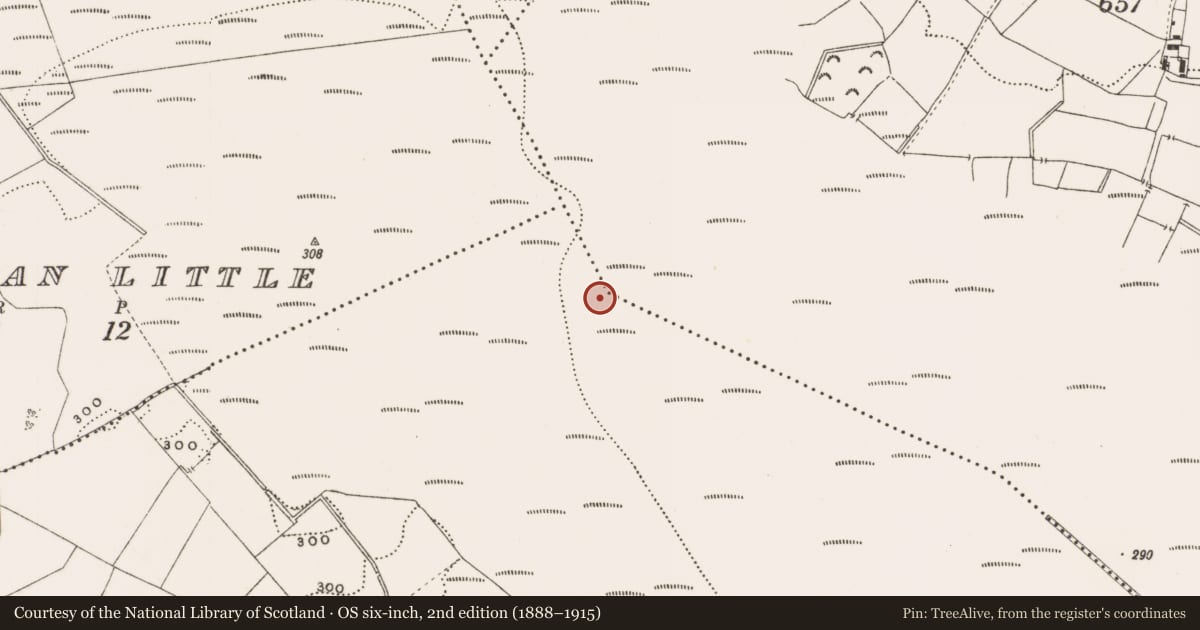 Ordnance Survey six-inch map, 2nd edition (1888–1915) covering the location of Structure - peatland, Rathdrum, County Offaly, with a pin at the register's coordinates