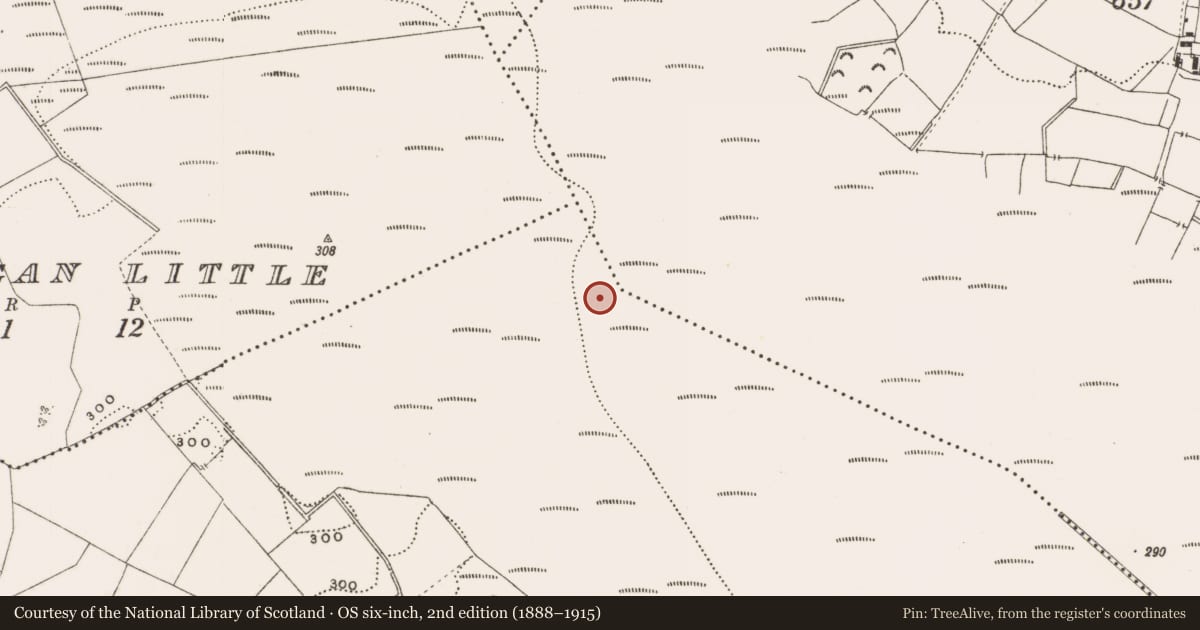 Ordnance Survey six-inch map, 2nd edition (1888–1915) covering the location of Structure - peatland, Rathdrum, County Offaly, with a pin at the register's coordinates