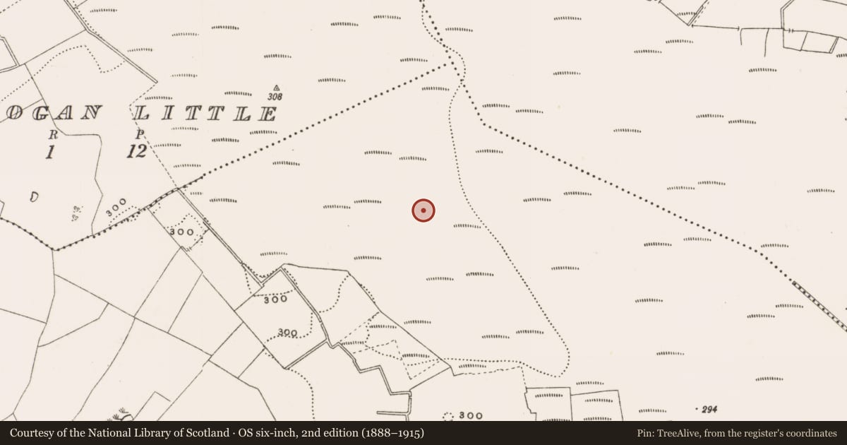 Ordnance Survey six-inch map, 2nd edition (1888–1915) covering the location of Structure - peatland, Rathdrum, County Offaly, with a pin at the register's coordinates