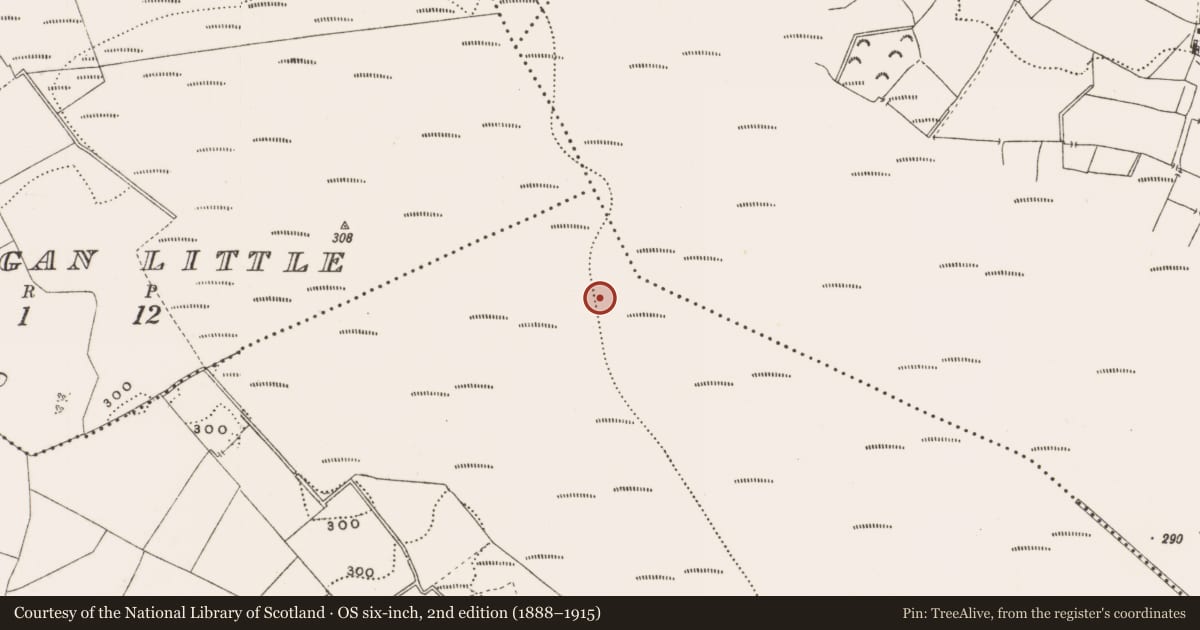 Ordnance Survey six-inch map, 2nd edition (1888–1915) covering the location of Structure - peatland, Rathdrum, County Offaly, with a pin at the register's coordinates