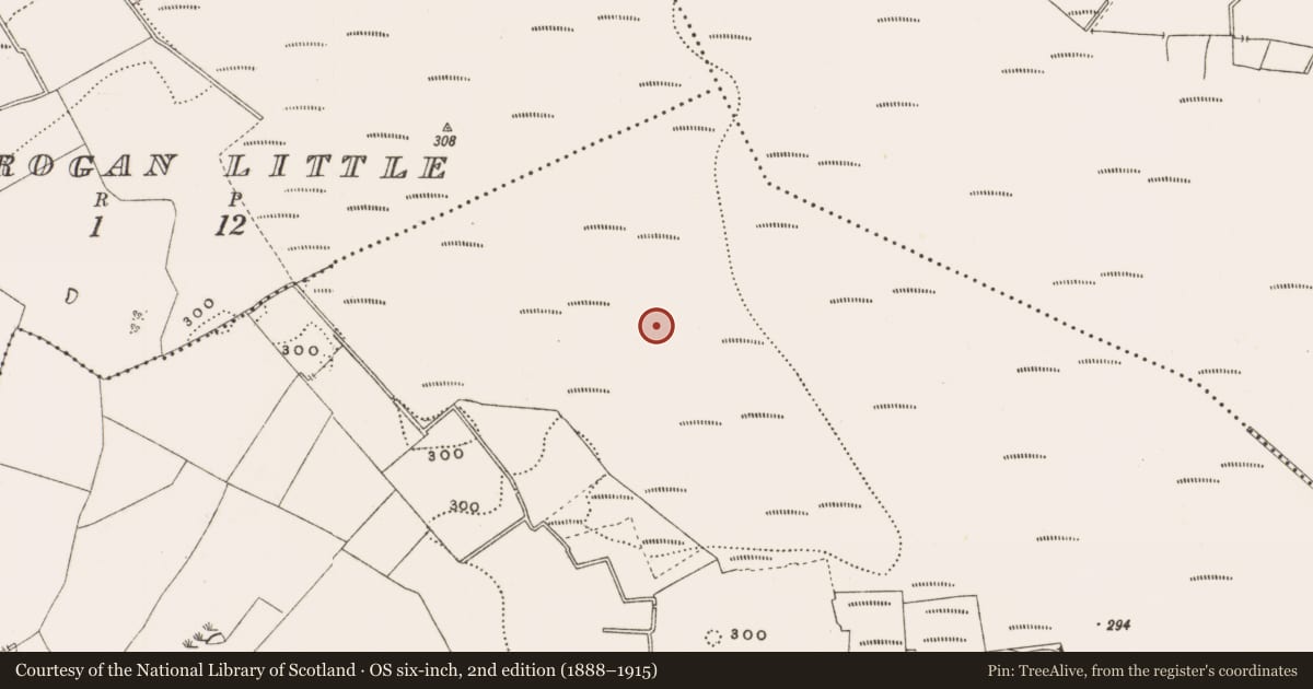 Ordnance Survey six-inch map, 2nd edition (1888–1915) covering the location of Structure - peatland, Rathdrum, County Offaly, with a pin at the register's coordinates