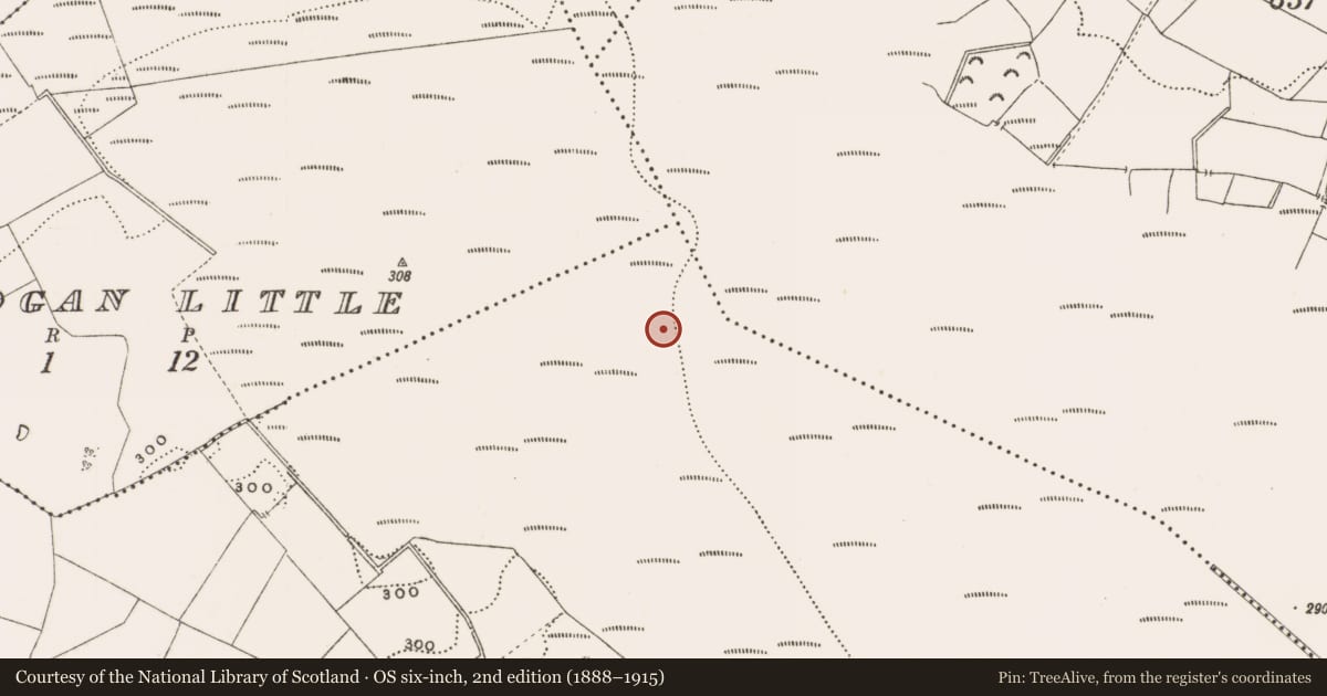 Ordnance Survey six-inch map, 2nd edition (1888–1915) covering the location of Structure - peatland, Rathdrum, County Offaly, with a pin at the register's coordinates