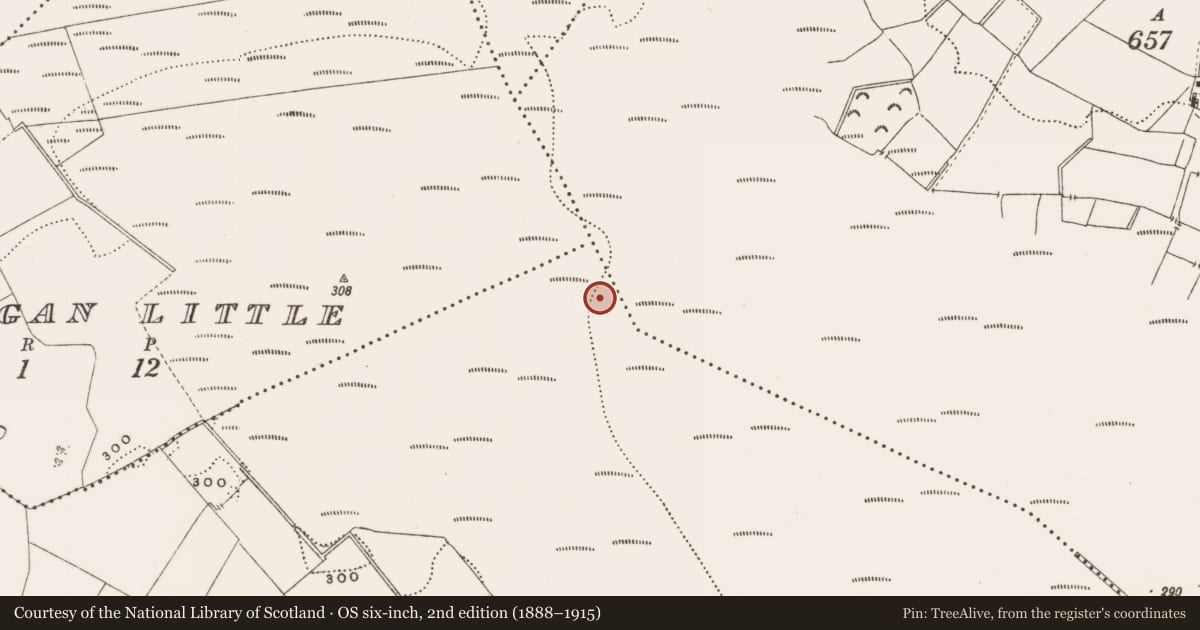 Ordnance Survey six-inch map, 2nd edition (1888–1915) covering the location of Structure - peatland, Rathdrum, County Offaly, with a pin at the register's coordinates